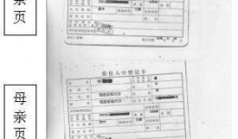 千禧日料爆料视频大全,视频大全带你领略美食魅力