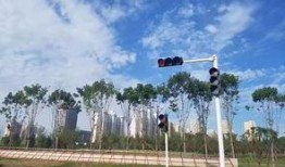 郑州鱼鳞云最新爆料,揭秘神秘科技背后的真相